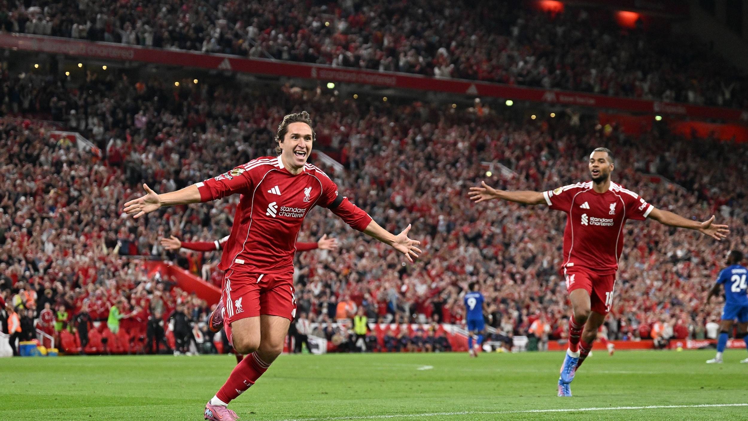 减少主力的 减少主力的