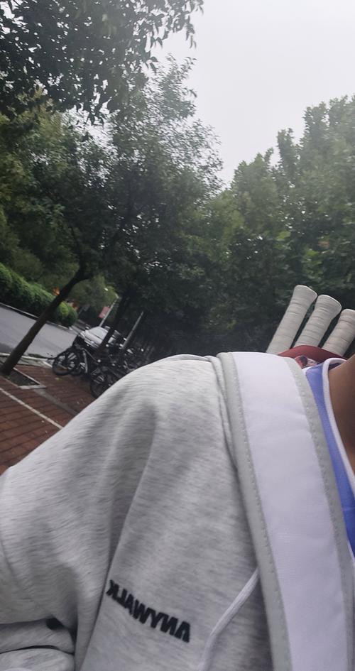 为球迷和球